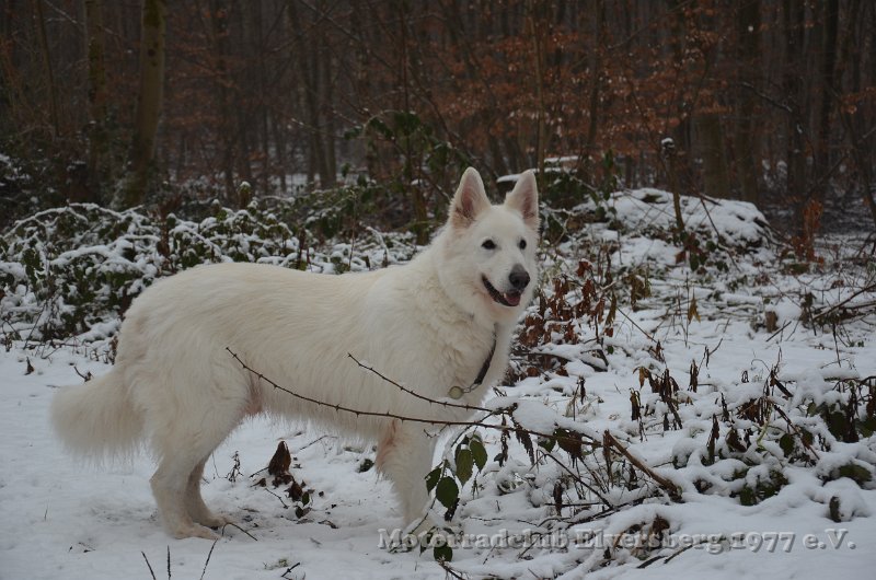 Wandertag 2017 - 023.JPG